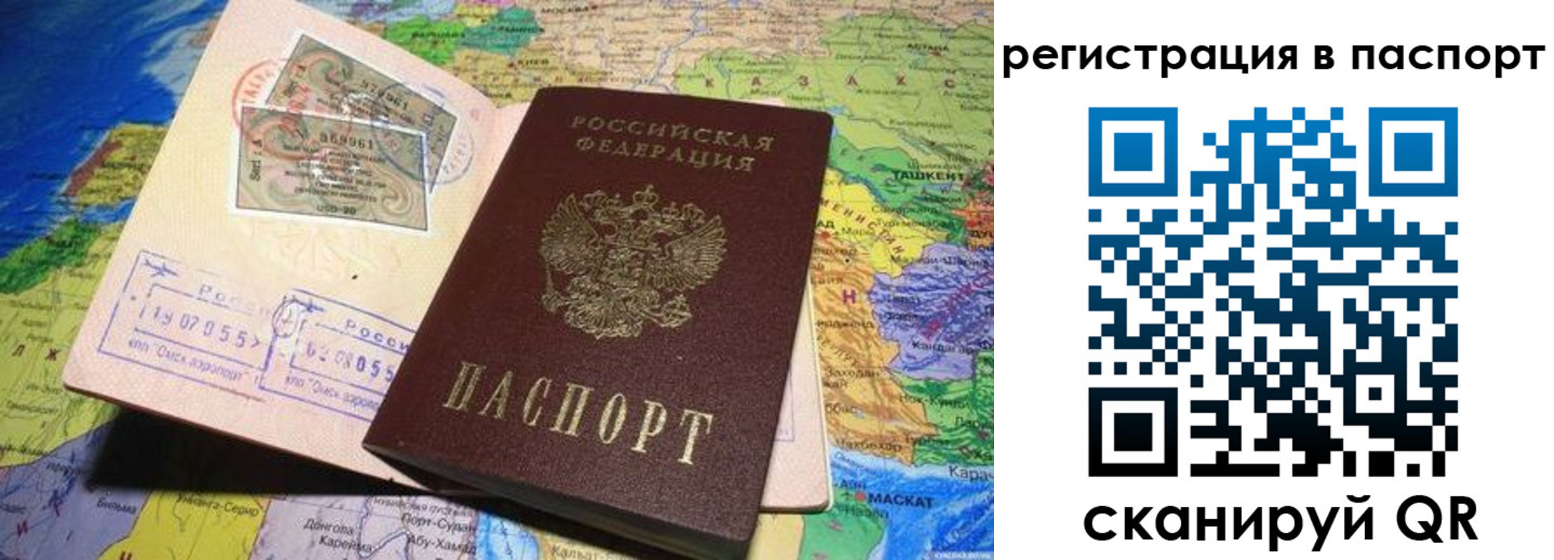прописка гарантия в Мурманской области